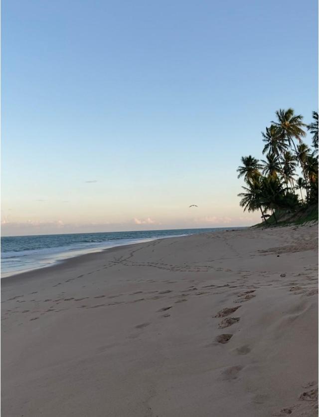 Praia Do Forte- Iberostar- Ap Luxuoso 3 Qts マタ・デ・サン・ジョアン エクステリア 写真